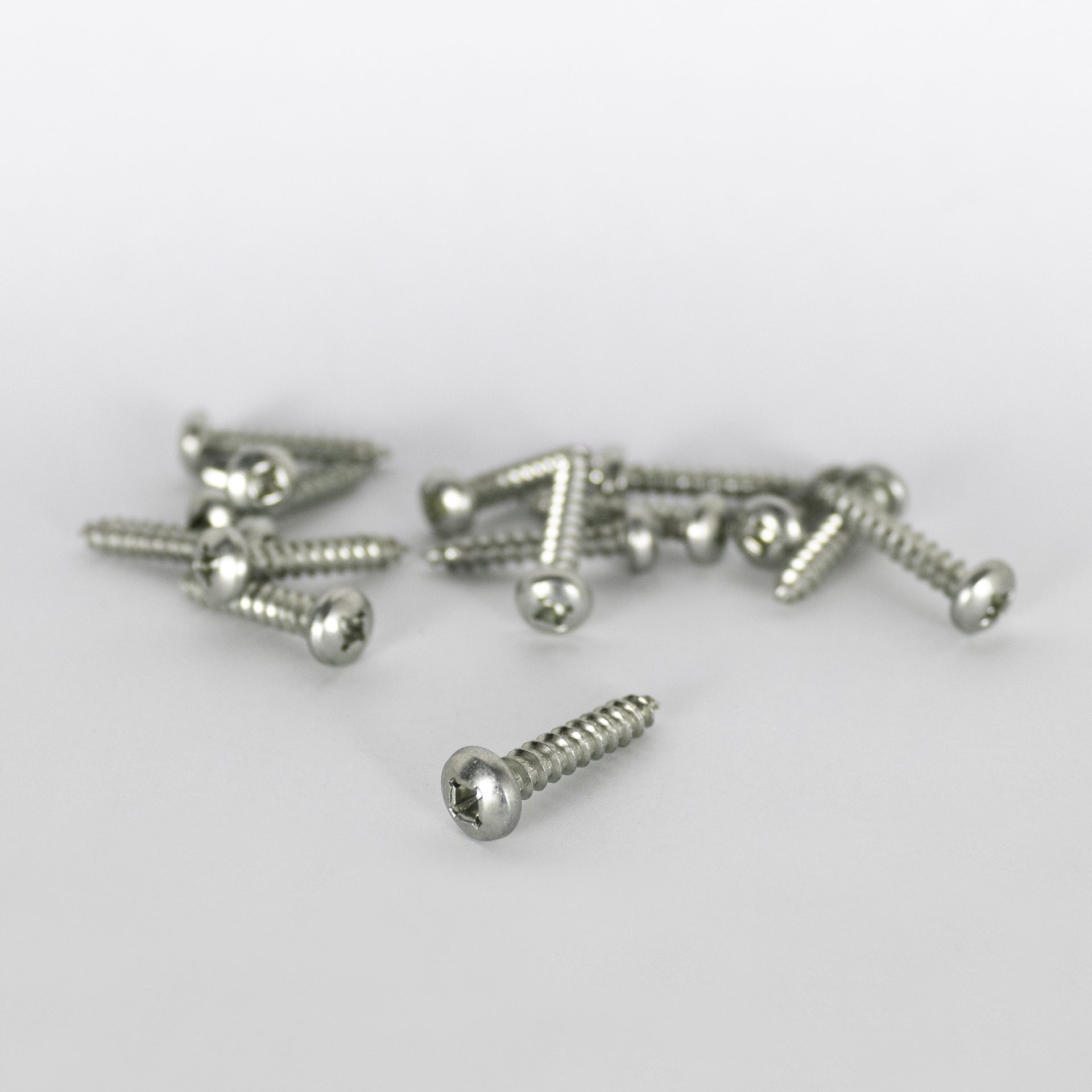 ICON - Screws, Qty 15, Painted, Fender Installation, Natural