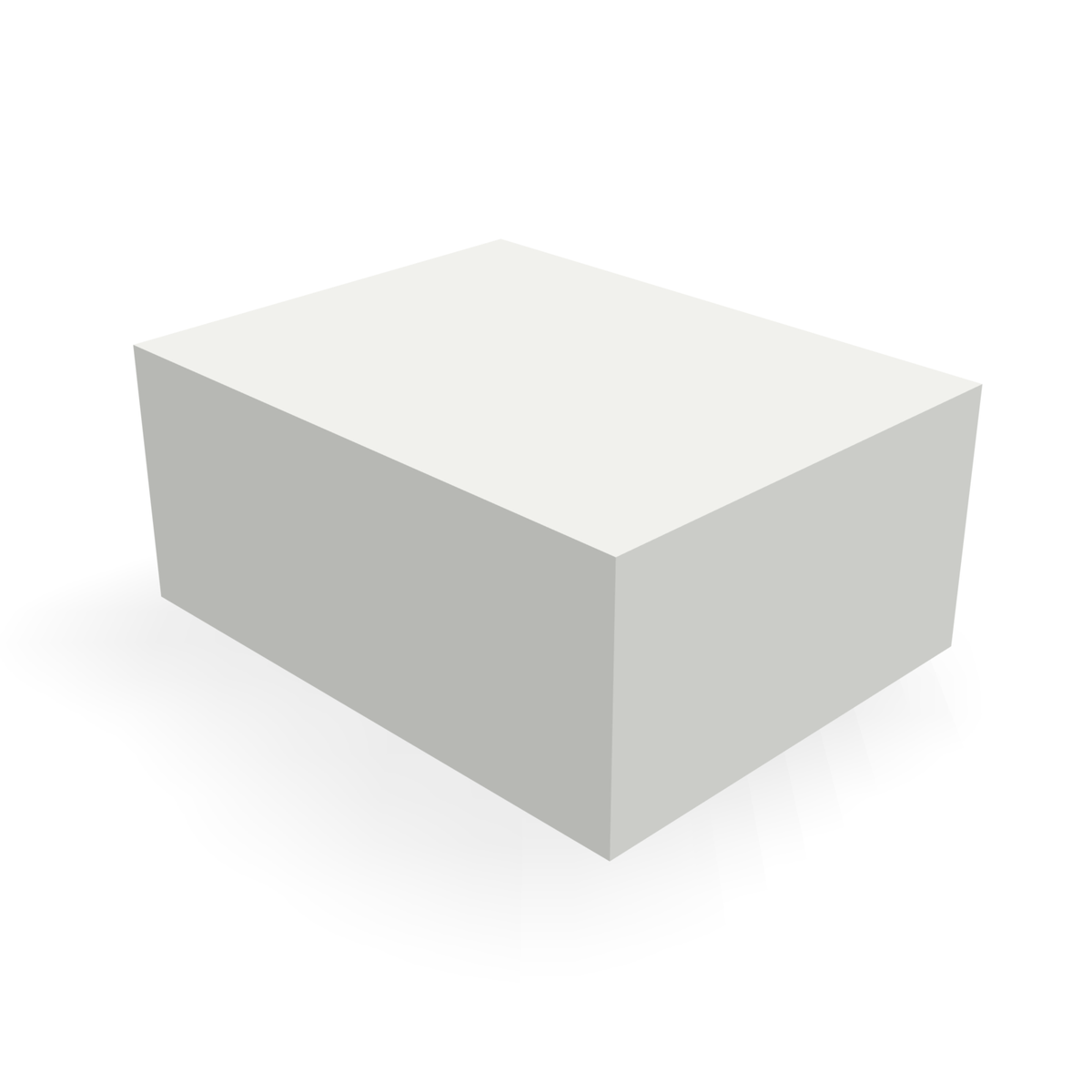 Alpha 261BLANK — print-based rear view