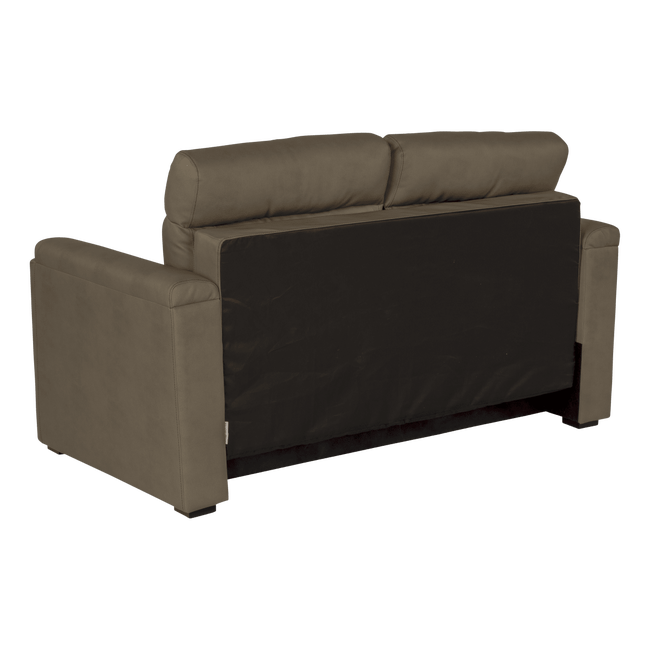 Thomas the tank outlet flip out sofa